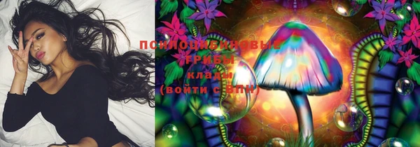 ECSTASY Ладушкин